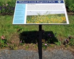 Urbandale-Parks-Rec-Walnut-Creek-Park-Landscaping-Project-01